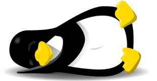 linux