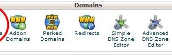 wildcard_subdomain_1